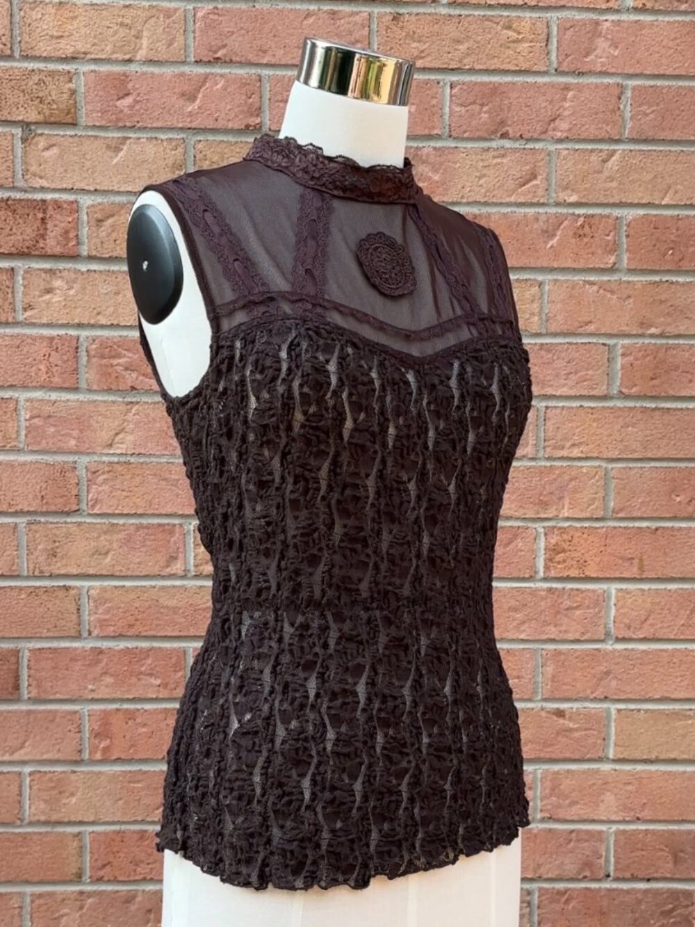 Stunning Vintage Y2K Romantic Dark Fairy Marron Brown Lace Mesh Vampy Top - Sz S